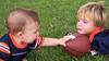 Peyton 3years Colt 5months